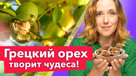 Проверенные секреты успешного замачивания ореха