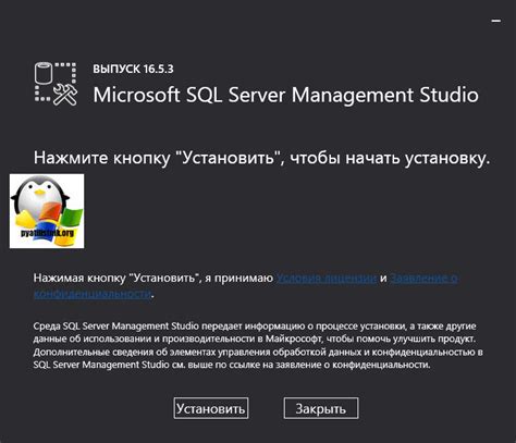 Проверка версии через Management Studio