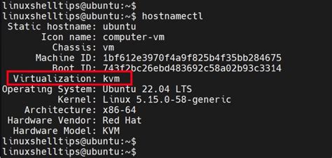 Проверка виртуализации в ОС Linux