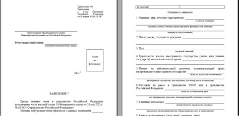 Проверка документов и рассмотрение заявления