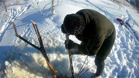 Проверка и контроль ловушки