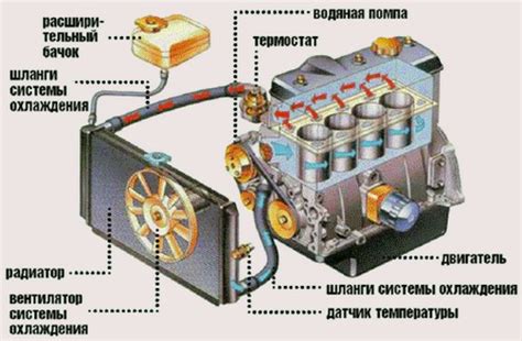 Проверка и чистка системы охлаждения