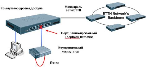 Проверка настройки loopback