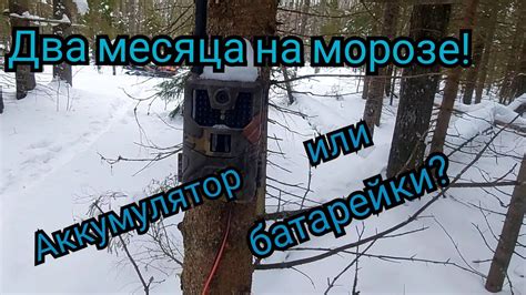 Проверка на прочность и устойчивость