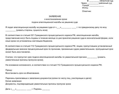 Проверка обжалования решения суда: основные моменты