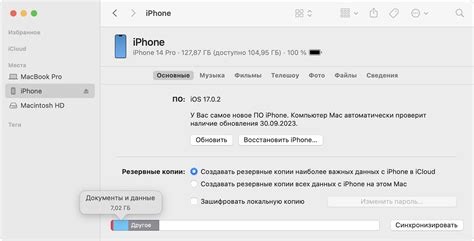 Проверка поддержки Thunderbolt на macOS