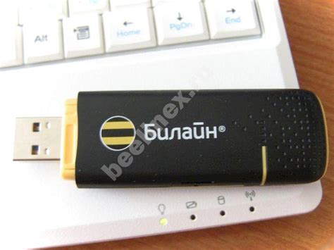 Проверка подключения 4G USB-модема Билайн