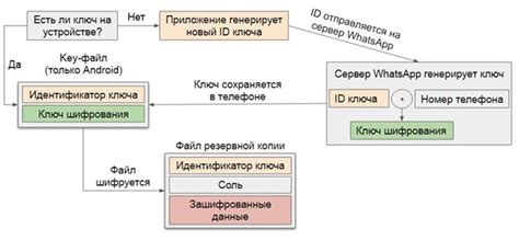 Проверка правильности ключа шифрования в WhatsApp