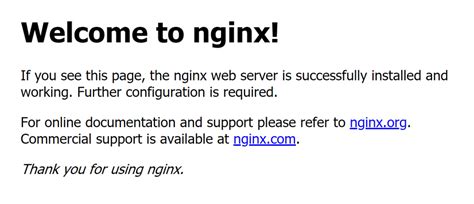 Проверка работоспособности Nginx