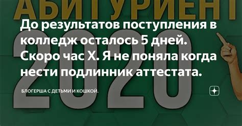 Проверка результатов поступления в колледж онлайн