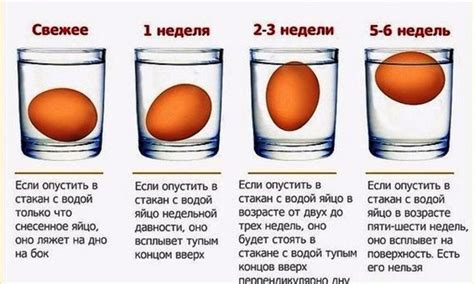 Проверка свежести яиц водой