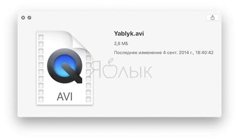 Проверка совместимости файлов .avi с macOS