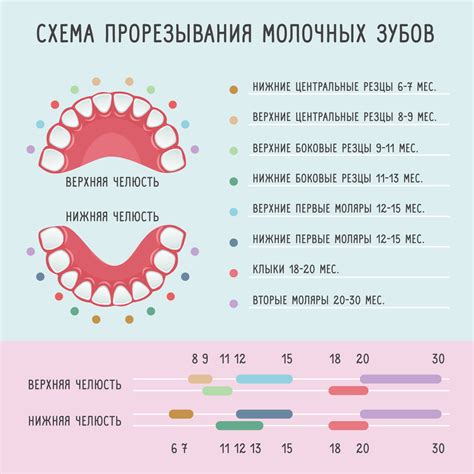 Проверка состояния зубов ребенка