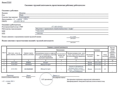 Проверка трудового стажа: электронная трудовая книжка