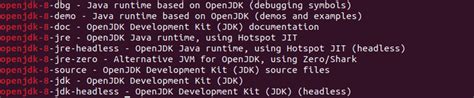 Проверка установки OpenJDK на Ubuntu