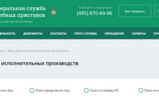 Проверка через Федеральную службу судебных приставов