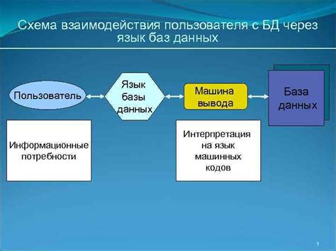 Проверка через информационные базы данных