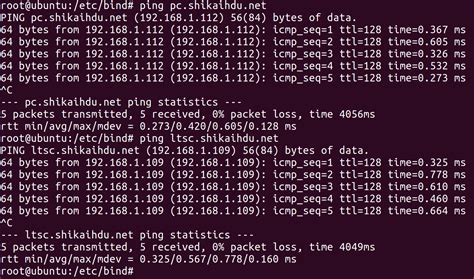 Проверка DNS на Linux