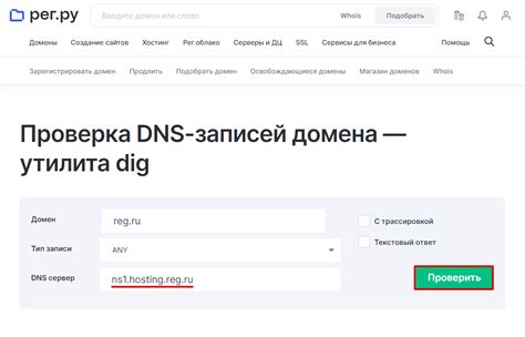 Проверка DNS поддомена: