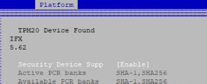 Проверьте поддержку BIOS TPM 2.0