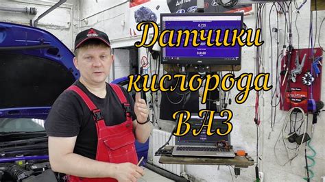 Проверьте работу ВТФ мода