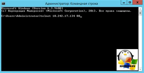 Проверяем открытые порты через telnet