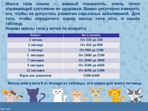 Проверяйте состояние здоровья и регулярно обследуйте кота