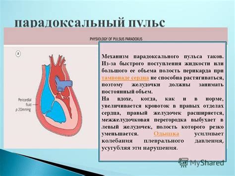 Прогинание миски или недостаточность ее объема