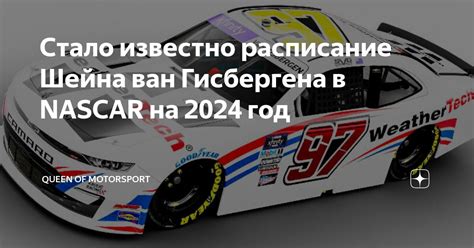 Прогнозы на 2023 год в сфере шейна