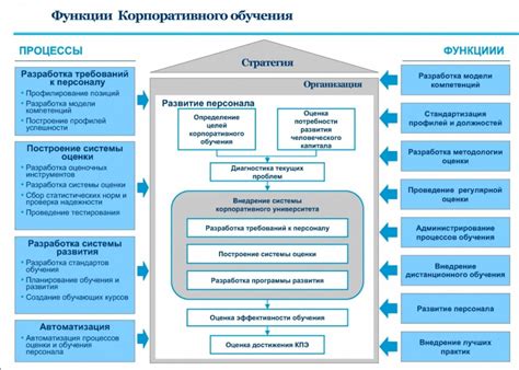 Программа корпоративного обучения и развития в Wildberries