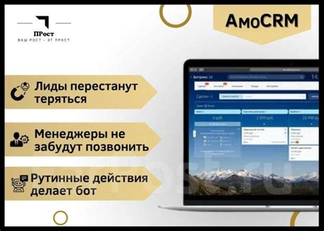 Программное обеспечение и автоматизация