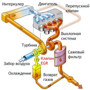 Программное отключение программы ЕГР на двигателе Y25TD