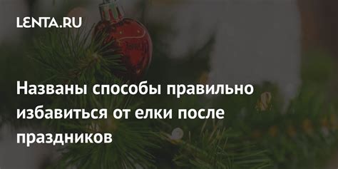 Продление жизни елки после праздников