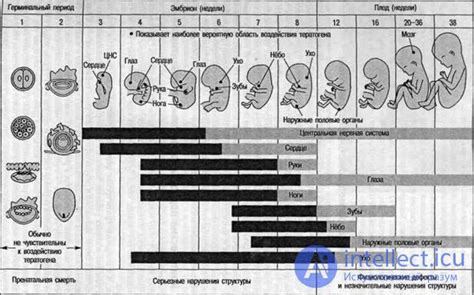 Продолжительная икота в пренатальном периоде