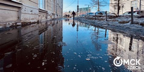 Продолжительность снеготаяния в лесу