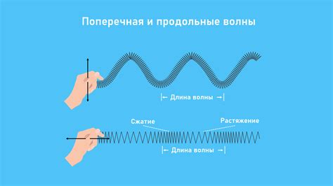 Продольные волны: их характеристики и основные признаки