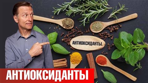 Продукты, богатые полезными веществами и антиоксидантами