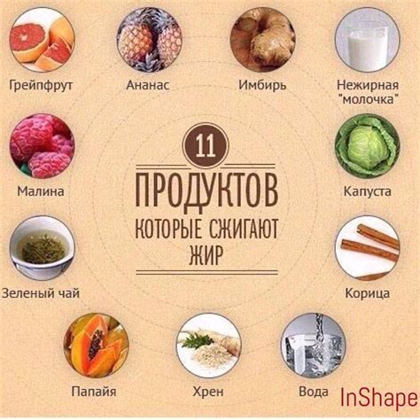 Продукты, способствующие сжиганию жиров