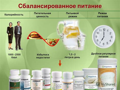 Продукты питания и питьевой режим