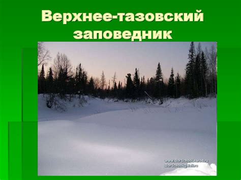 Проекты заповедников Тюменской области