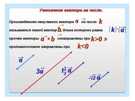 Произведение вектора на число: определение и свойства