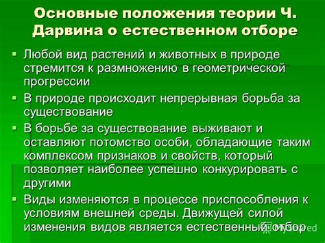 Произвольность в отборе признаков и степень сопоставимости