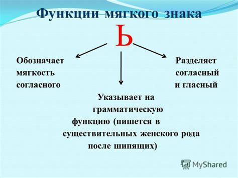 Происхождение грамматического знака "ь" и его функции