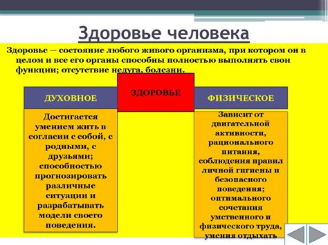 Происхождение сапропеля и его основные составляющие