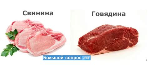 Происхождение свинины и говядины