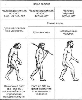 Происхождение человека как млекопитающего