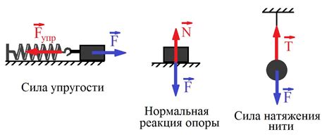 Пройдите тест на знание силы упругости!