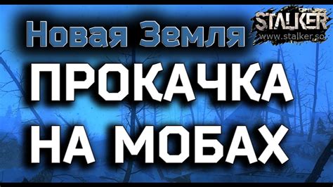 Прокачка на мобах высокого уровня