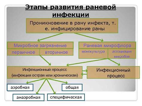 Проникновение микроорганизмов в рану: почему это опасно?