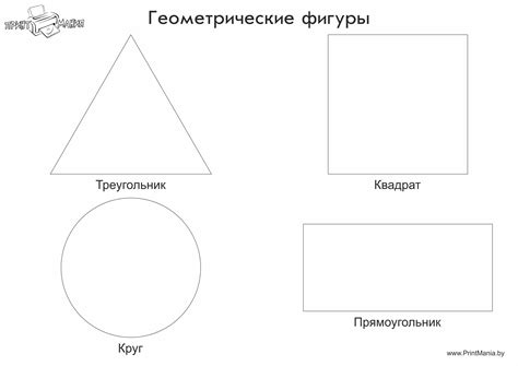 Прорисуйте контуры фигуры